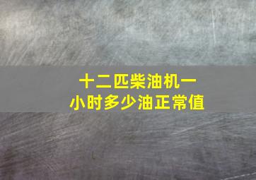 十二匹柴油机一小时多少油正常值