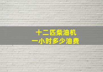 十二匹柴油机一小时多少油费