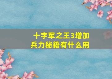 十字军之王3增加兵力秘籍有什么用