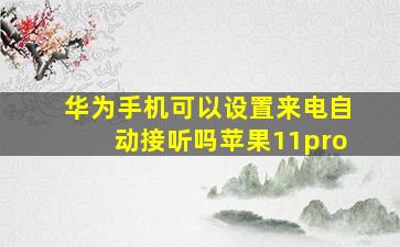 华为手机可以设置来电自动接听吗苹果11pro