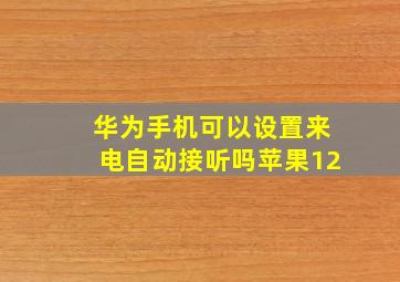 华为手机可以设置来电自动接听吗苹果12