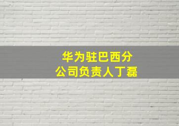 华为驻巴西分公司负责人丁磊