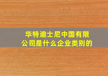 华特迪士尼中国有限公司是什么企业类别的