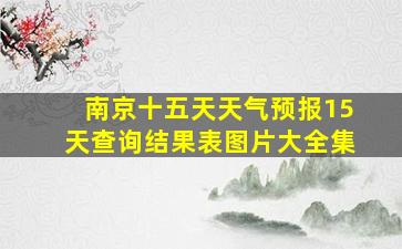 南京十五天天气预报15天查询结果表图片大全集