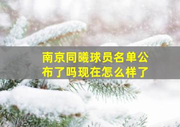 南京同曦球员名单公布了吗现在怎么样了