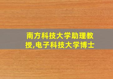 南方科技大学助理教授,电子科技大学博士