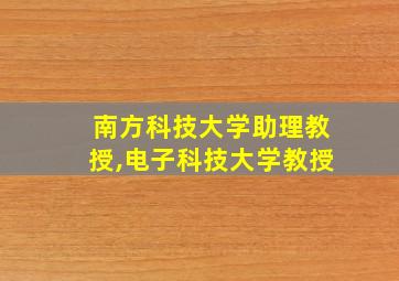 南方科技大学助理教授,电子科技大学教授