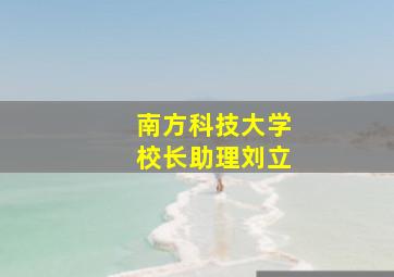 南方科技大学校长助理刘立