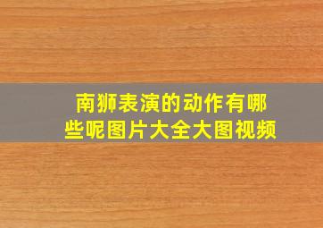 南狮表演的动作有哪些呢图片大全大图视频