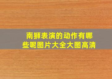 南狮表演的动作有哪些呢图片大全大图高清