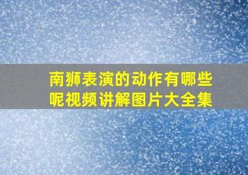 南狮表演的动作有哪些呢视频讲解图片大全集