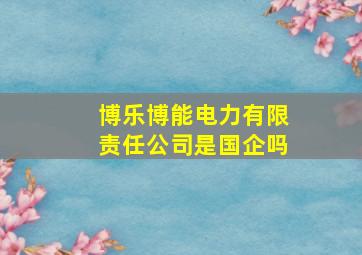 博乐博能电力有限责任公司是国企吗