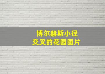 博尔赫斯小径交叉的花园图片