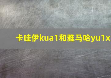 卡哇伊kua1和雅马哈yu1x