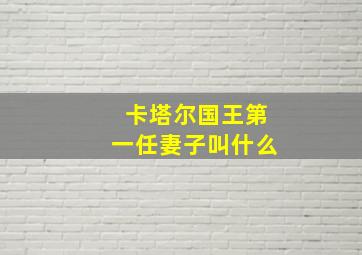 卡塔尔国王第一任妻子叫什么