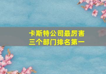 卡斯特公司最厉害三个部门排名第一