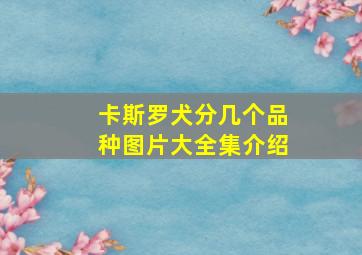 卡斯罗犬分几个品种图片大全集介绍