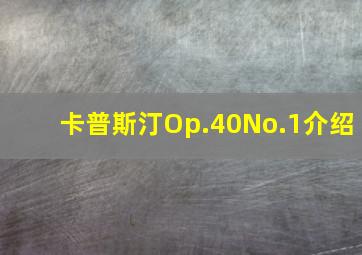 卡普斯汀Op.40No.1介绍