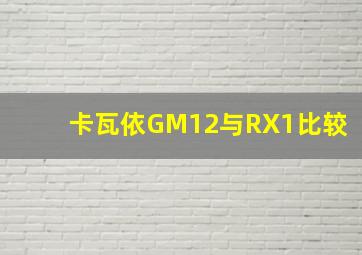 卡瓦依GM12与RX1比较