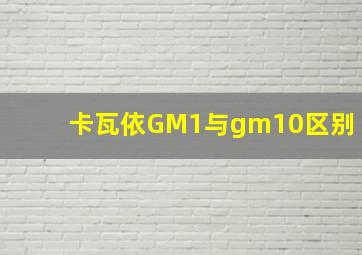 卡瓦依GM1与gm10区别