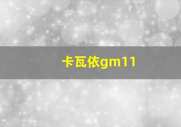 卡瓦依gm11