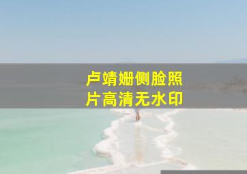 卢靖姗侧脸照片高清无水印