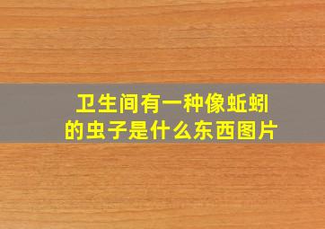 卫生间有一种像蚯蚓的虫子是什么东西图片