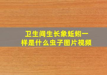 卫生间生长象蚯蚓一样是什么虫子图片视频