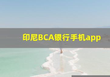 印尼BCA银行手机app