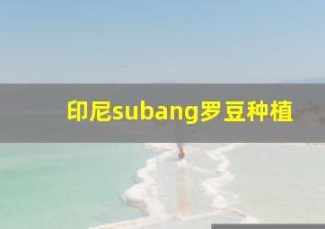 印尼subang罗豆种植