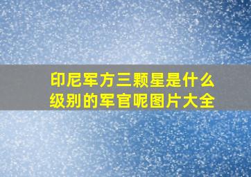 印尼军方三颗星是什么级别的军官呢图片大全