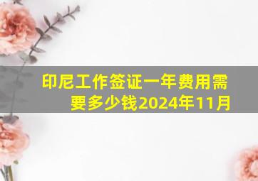 印尼工作签证一年费用需要多少钱2024年11月