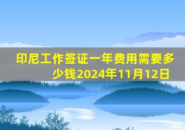 印尼工作签证一年费用需要多少钱2024年11月12日