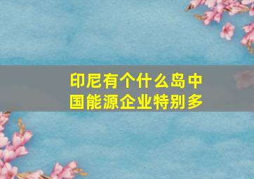 印尼有个什么岛中国能源企业特别多