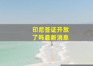 印尼签证开放了吗最新消息