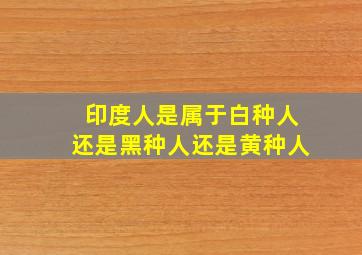 印度人是属于白种人还是黑种人还是黄种人