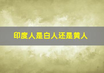 印度人是白人还是黄人