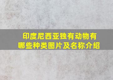 印度尼西亚独有动物有哪些种类图片及名称介绍