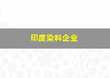 印度染料企业