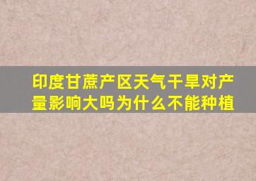 印度甘蔗产区天气干旱对产量影响大吗为什么不能种植