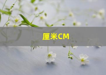 厘米CM