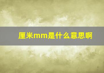 厘米mm是什么意思啊