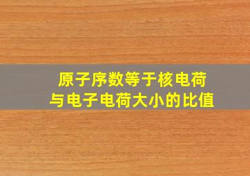 原子序数等于核电荷与电子电荷大小的比值