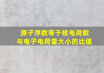 原子序数等于核电荷数与电子电荷量大小的比值