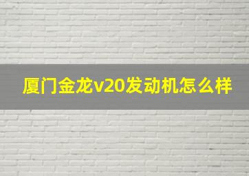 厦门金龙v20发动机怎么样