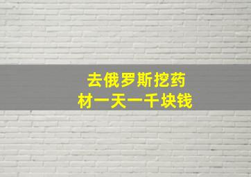 去俄罗斯挖药材一天一千块钱