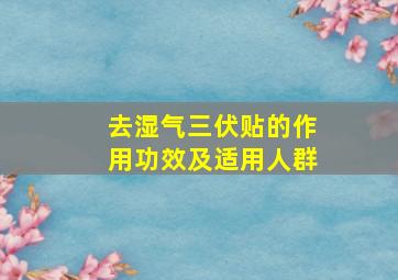 去湿气三伏贴的作用功效及适用人群