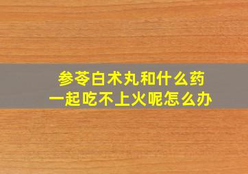 参苓白术丸和什么药一起吃不上火呢怎么办