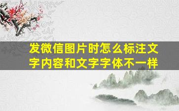 发微信图片时怎么标注文字内容和文字字体不一样