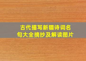 古代描写新疆诗词名句大全摘抄及解读图片